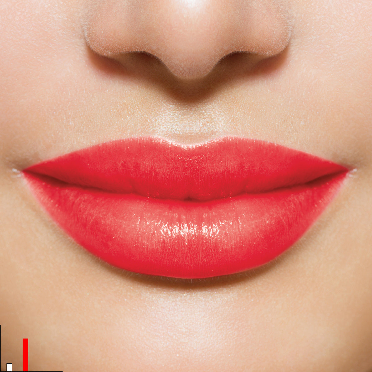 ROUGE INTENSE BIOTEK PIGMENTS